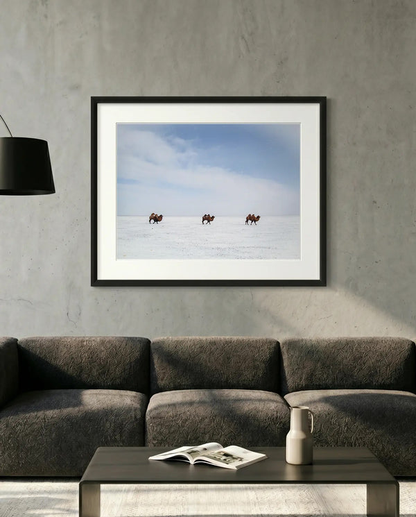 Bactrian Camels on the Mongolian Salt Flat, Gobi — minimalist close-up framed print mockup, Good Beans NYC.