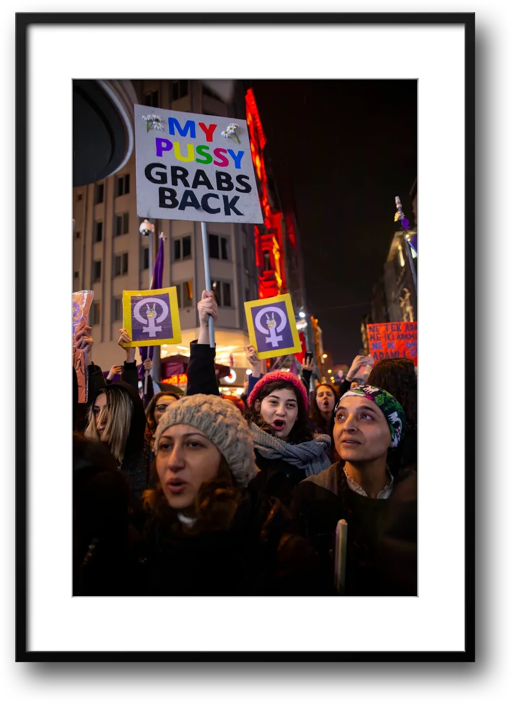 Istanbul Women's March, My Pussy Grabs Back Sign