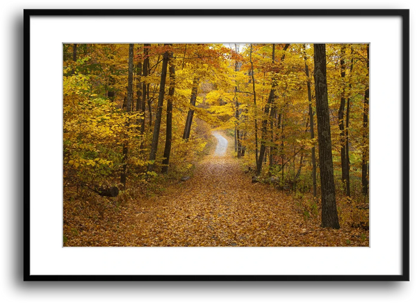 NY Fall Forest, Hudson Valley New Paltz framed print