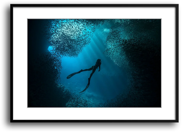 Free Diver Off Mexico Coast framed print