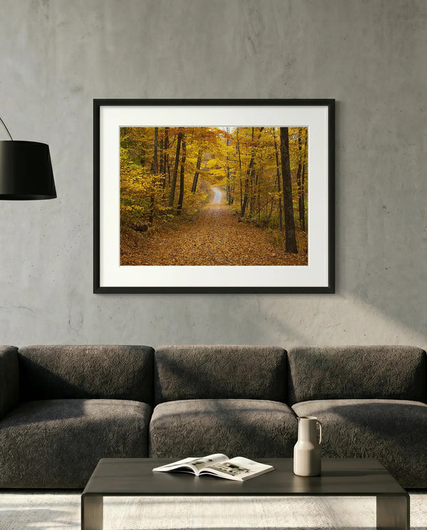 NY Fall Forest, Hudson Valley — New Paltz — minimalist close-up framed print mockup, Good Beans NYC.