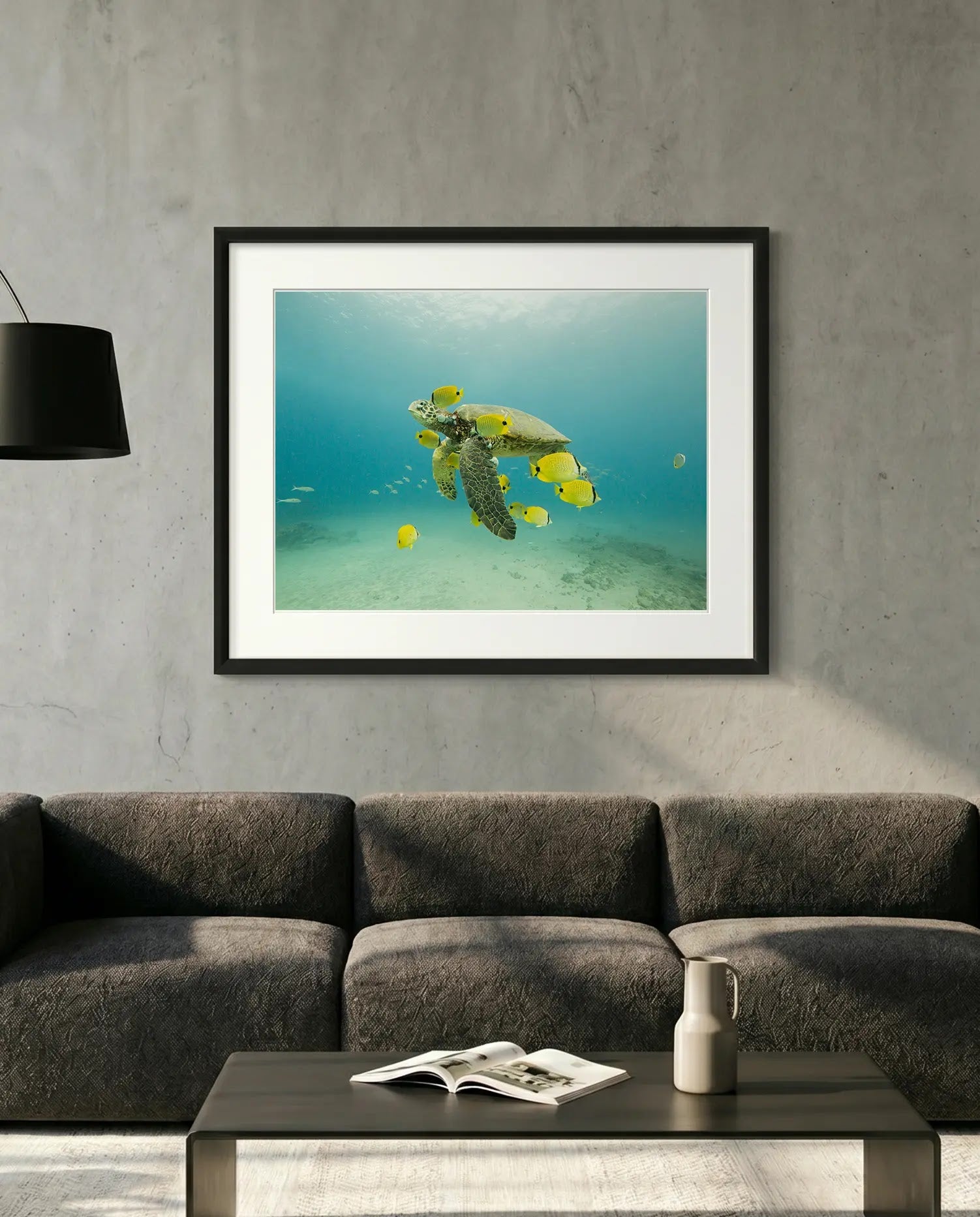 Turtle off the Coast of Eastern Mexico — Photo by Karim Iliya — minimalist close-up framed print mockup, Good Beans NYC.