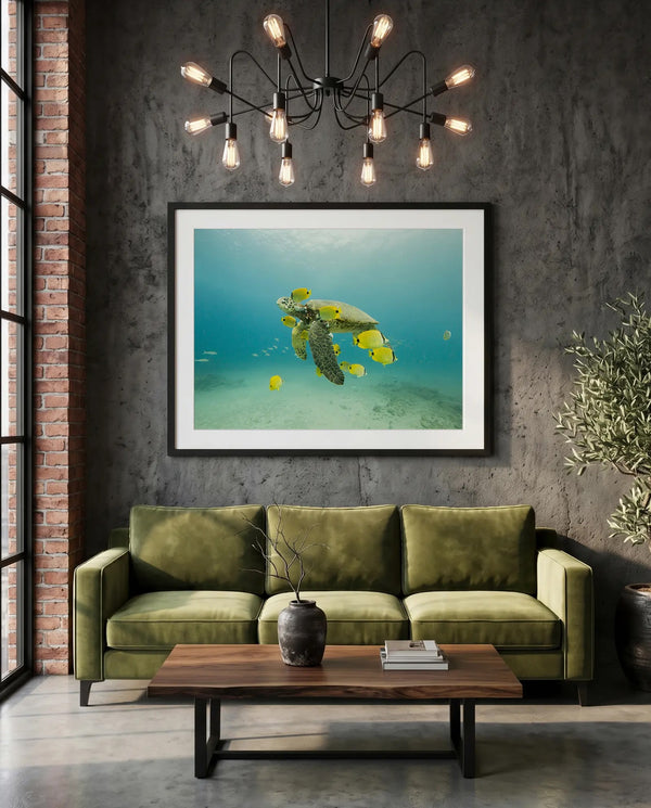 Turtle off the Coast of Eastern Mexico — Photo by Karim Iliya — green velvet couch room mockup, Good Beans NYC.