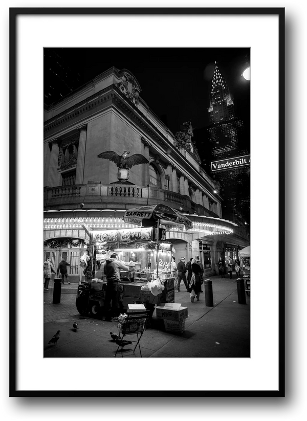 NYC Grand Central Food Cart, Vanderbilt Avenue