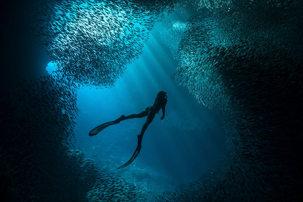 Underwater photo of a freediver swimming through a dense school of silver fish with sun rays from above, off the coast of Mexico, by Karim Iliya.