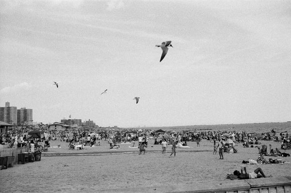 Black-and-white photo of seagulls flying over the crowded Coney Island beach in summer, Brooklyn NYC.