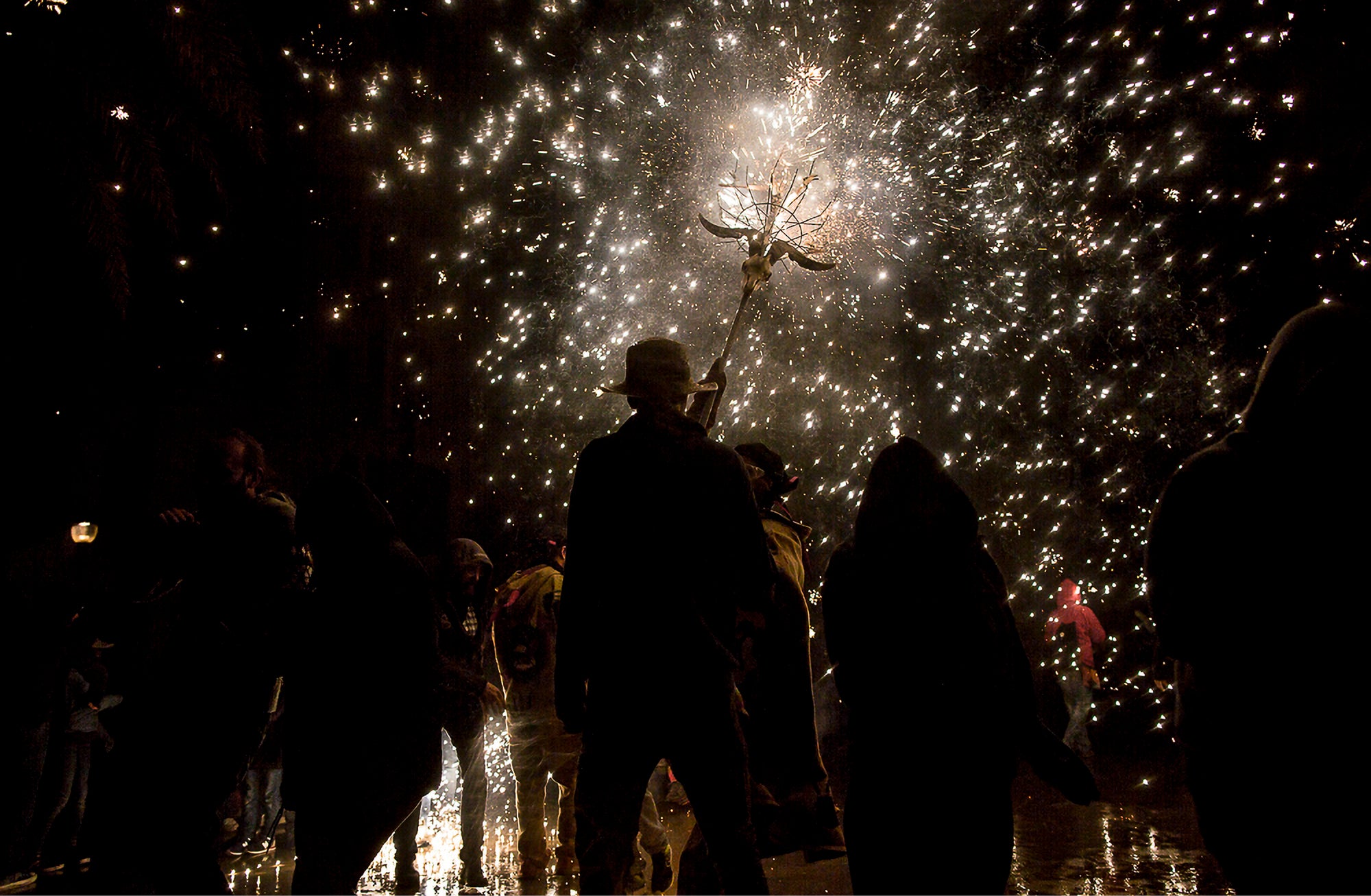 Barca Light Festival Trident
