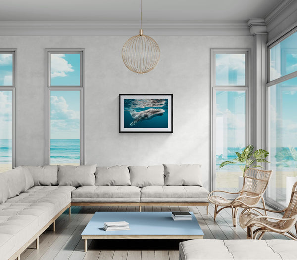 Baby Humpback Whale off the Coast of Tonga, Photo by Karim Iliya framed in black on a gallery wall with a side-profile viewer in a dark coat — Good Beans NYC.