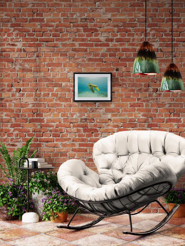 Turtle off the Coast of Eastern Mexico — Photo by Karim Iliya framed in black above a beige sofa, sunlit yellow plaster wall — Good Beans NYC.