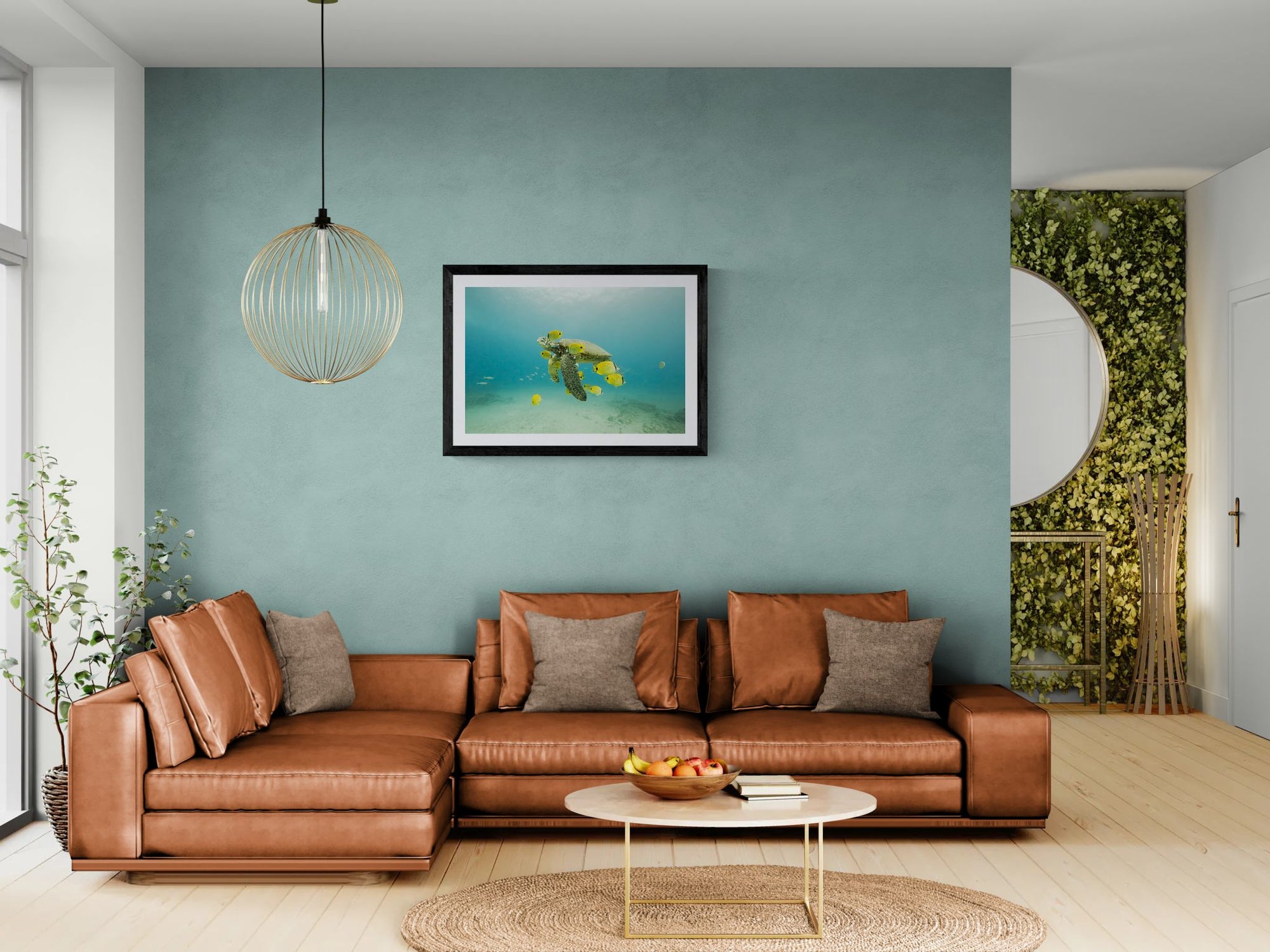 Turtle off the Coast of Eastern Mexico — Photo by Karim Iliya framed in black above a terracotta velvet sofa, gray plaster wall — Good Beans NYC.