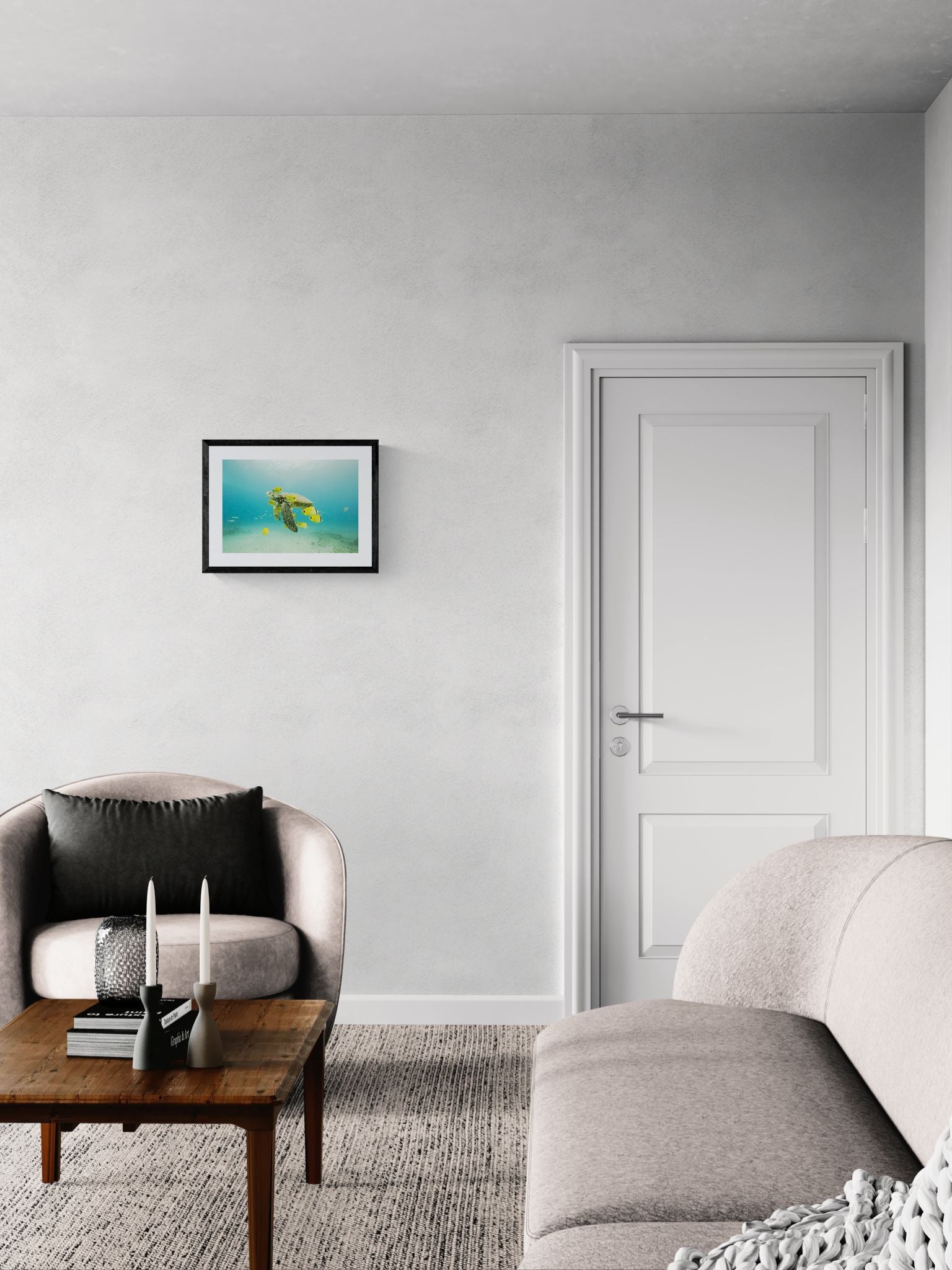 Turtle off the Coast of Eastern Mexico — Photo by Karim Iliya framed in black on a gallery wall with a viewer in a straw hat in front — Good Beans NYC.